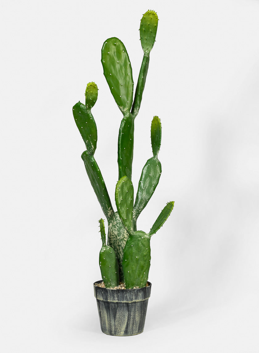 34in Long Angel Wing Cactus Plant Decor Jamaligarden