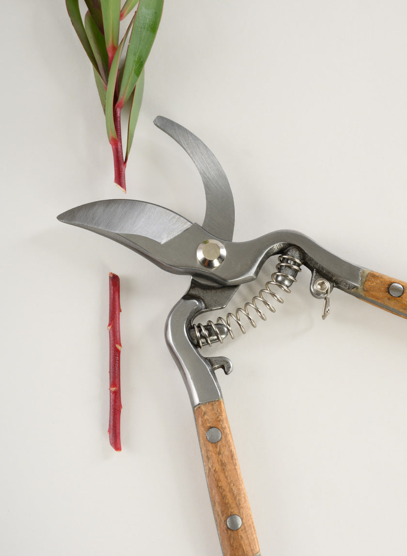 English Garden Pruning Shears Decor Jamaligarden