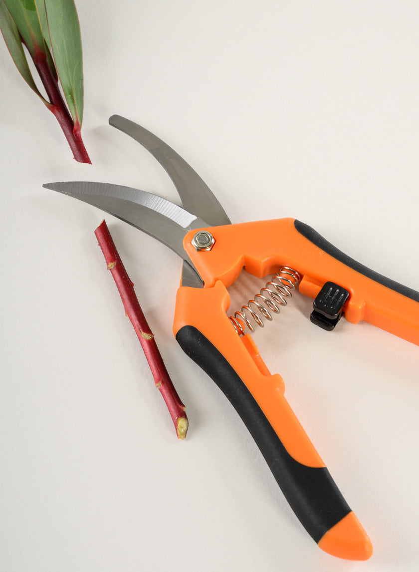 Professional All Purpose Floral Shears Decor Jamaligarden