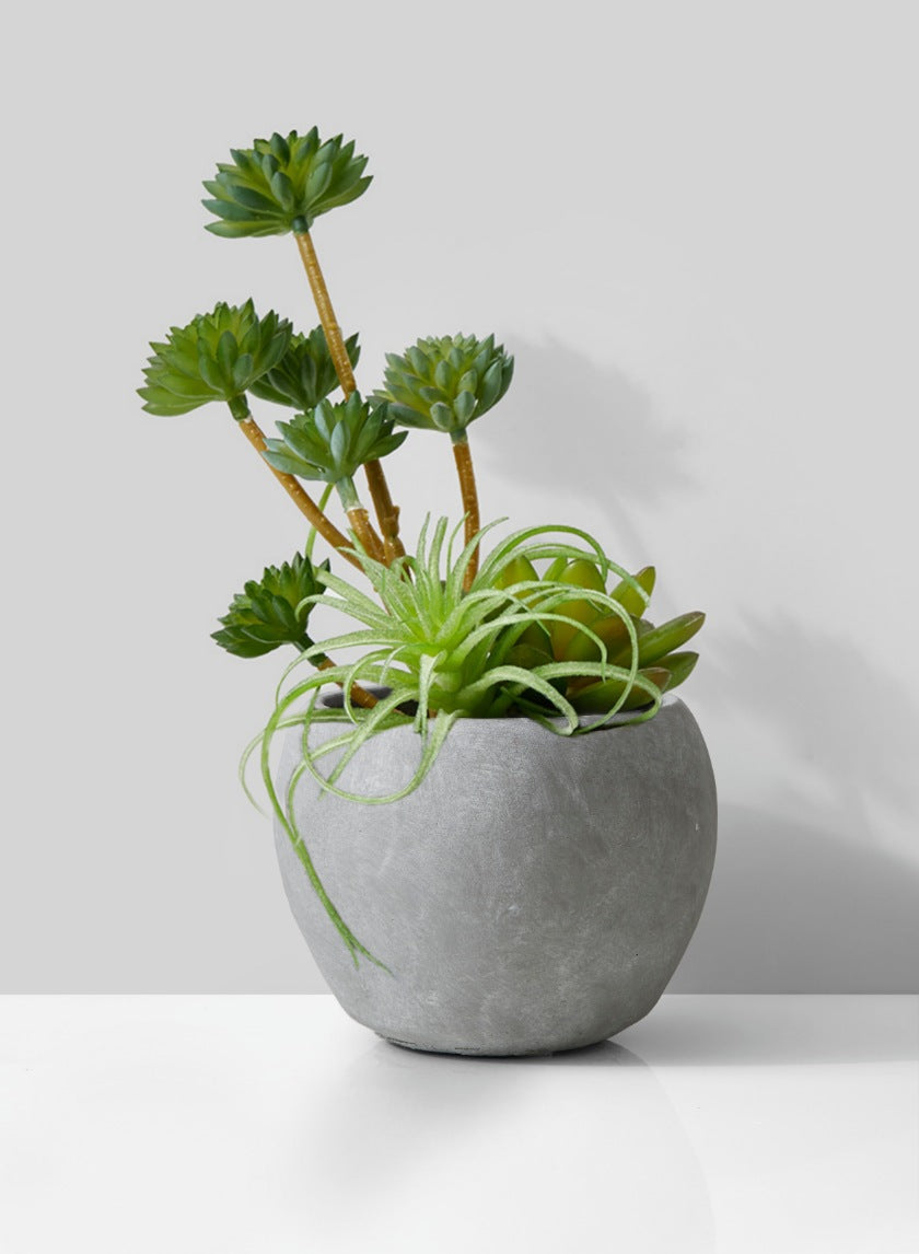 Atelier Cement Fishbowl Vase Decor Jamaligarden