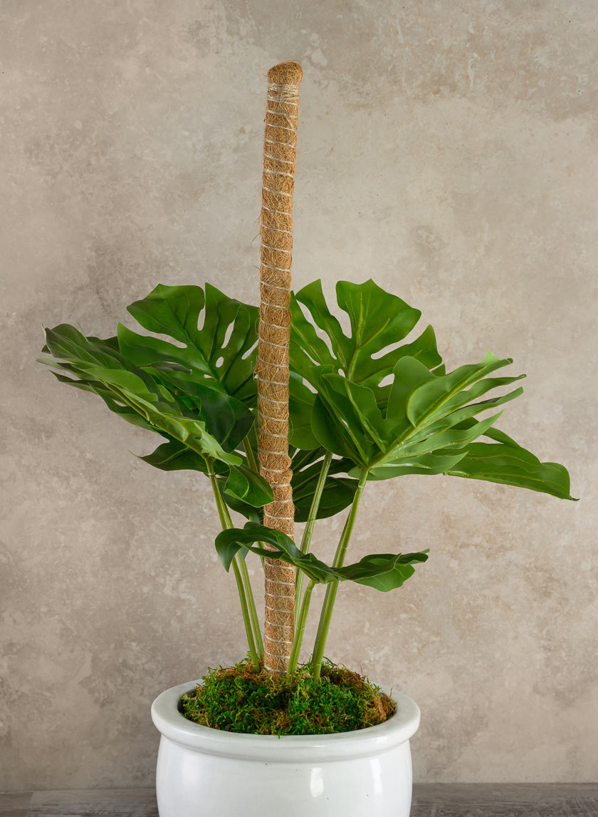 Flexible Coco Moss Plant Training Pole Decor Jamaligarden