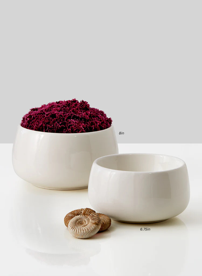 Low White Ceramic Bowls Decor Jamaligarden