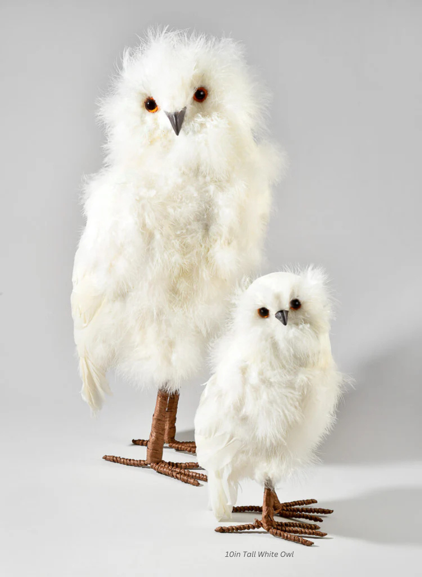 10in Tall White Owl Decor Jamaligarden