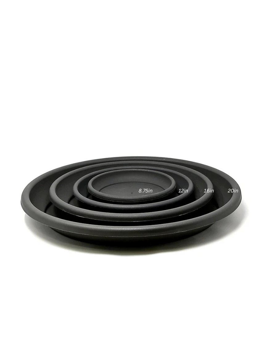 Deroma Anthracite Black Saucers Decor Jamaligarden