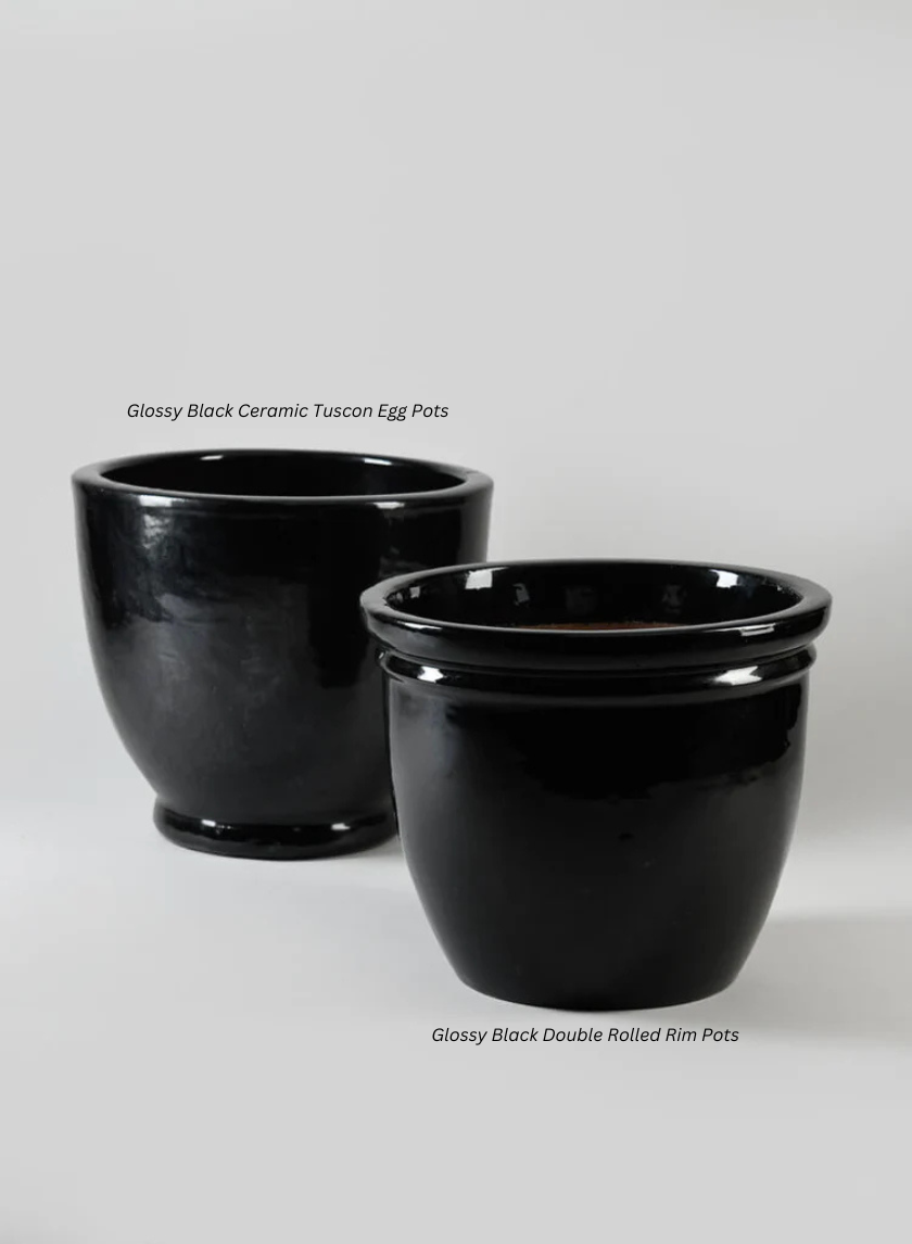 Glossy Black Ceramic Tuscon Egg Pots Decor Jamaligarden