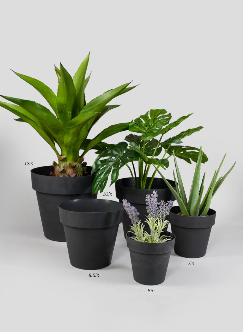 Black Standard Plastic Pots Decor Jamaligarden
