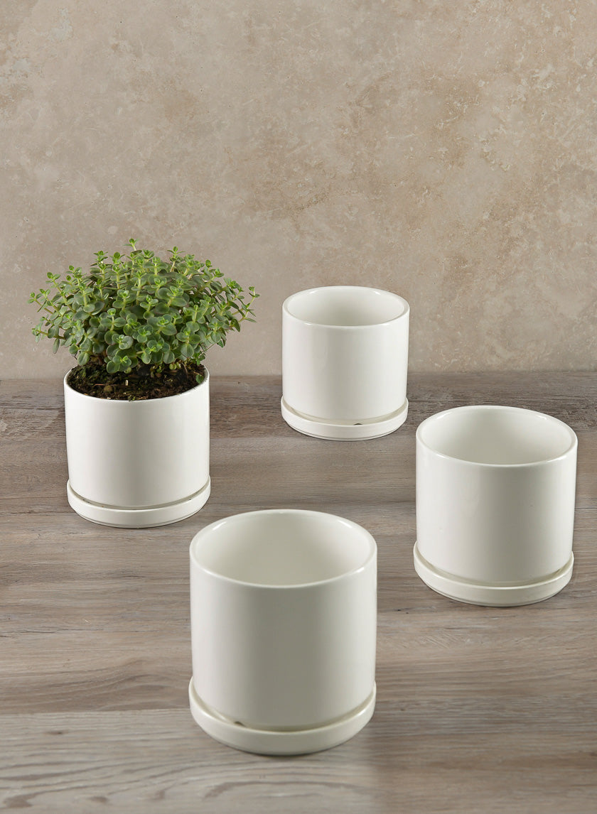 4.5in Tall Odense White Indoor Ceramic Pot with Saucer Decor Jamaligarden