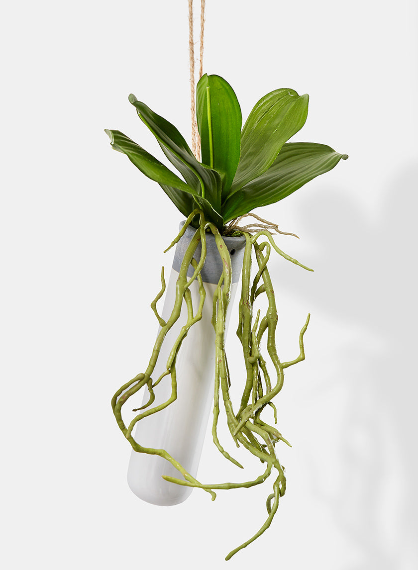 12in Long Orchid Leaves &amp; Roots Hanging In Ceramic Tube Vase Decor Jamaligarden
