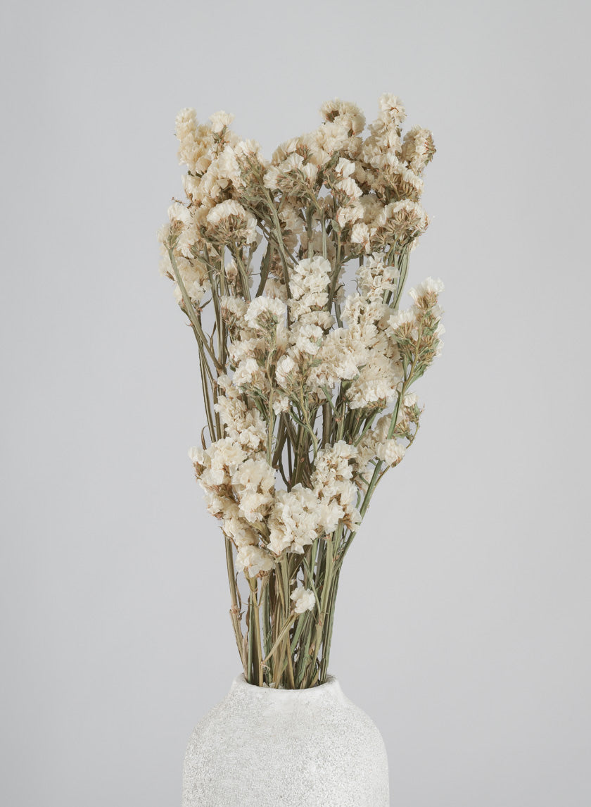 24in Long Dried Statice Flower Bunch Decor Jamaligarden
