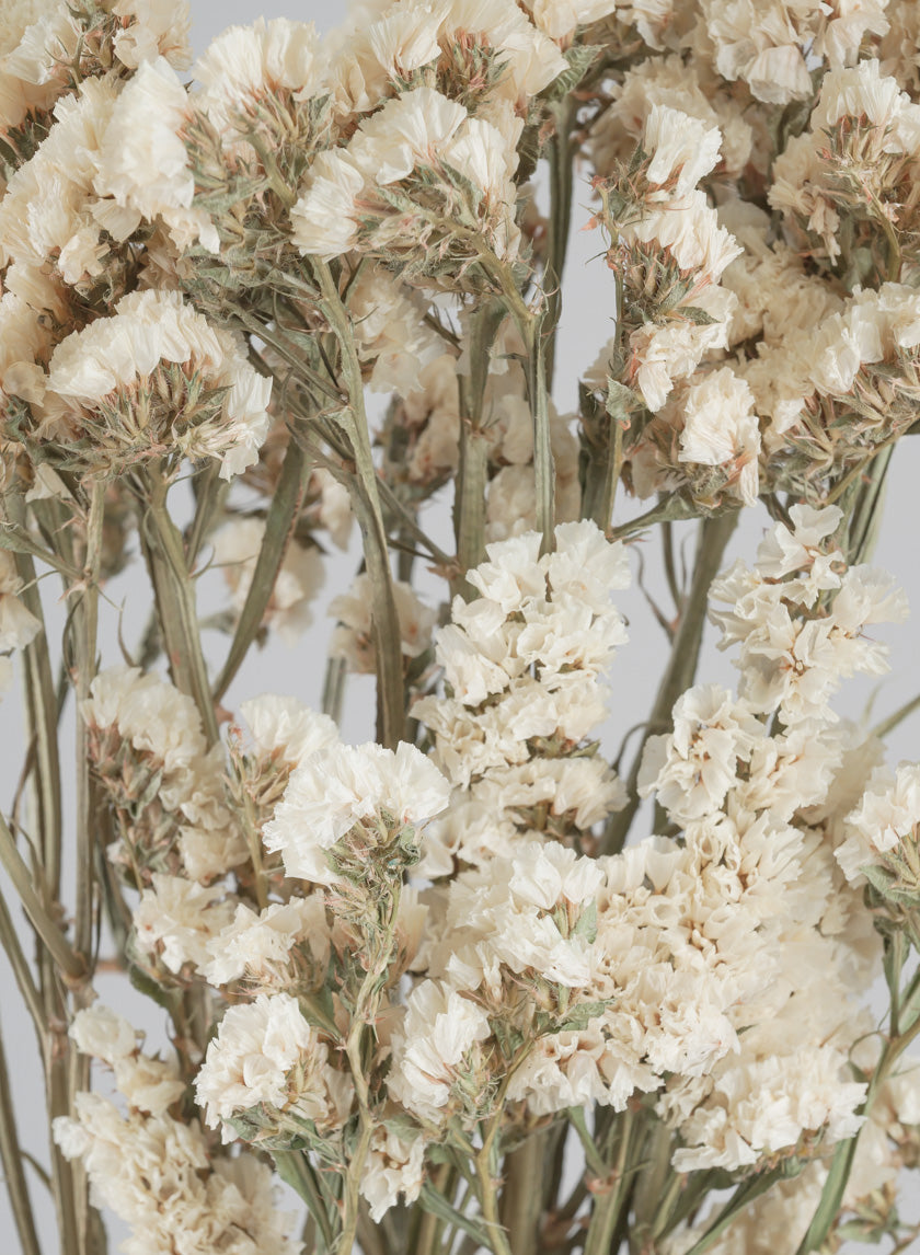 24in Long Dried Statice Flower Bunch Decor Jamaligarden