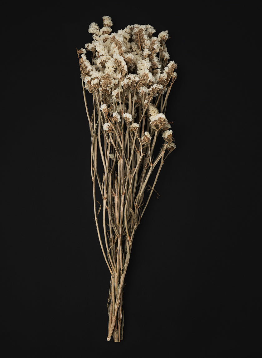 24in Long Dried Statice Flower Bunch Decor Jamaligarden