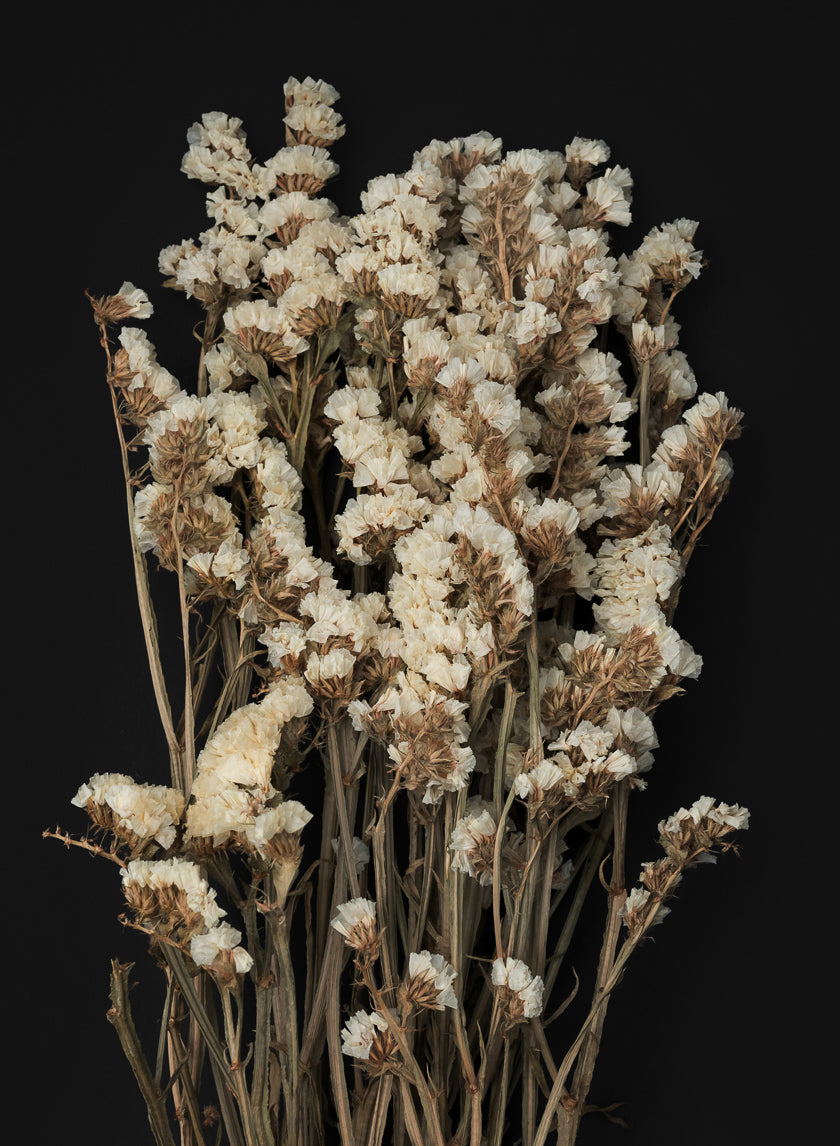 24in Long Dried Statice Flower Bunch Decor Jamaligarden