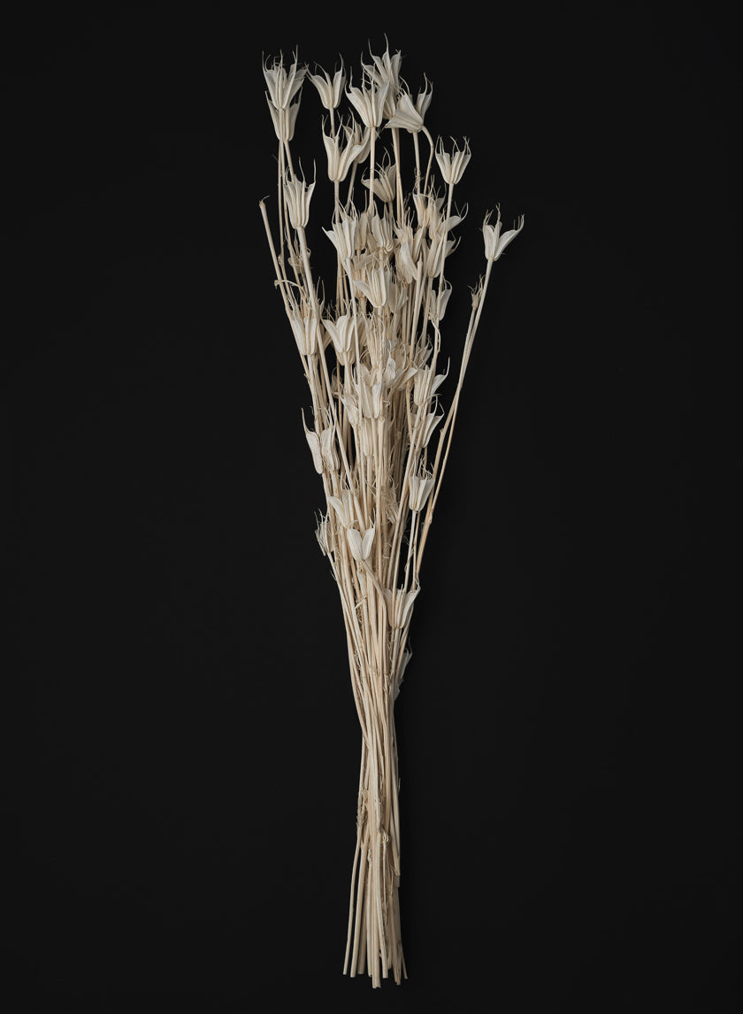 24in Long Bleached Nigella Bunch Decor Jamaligarden