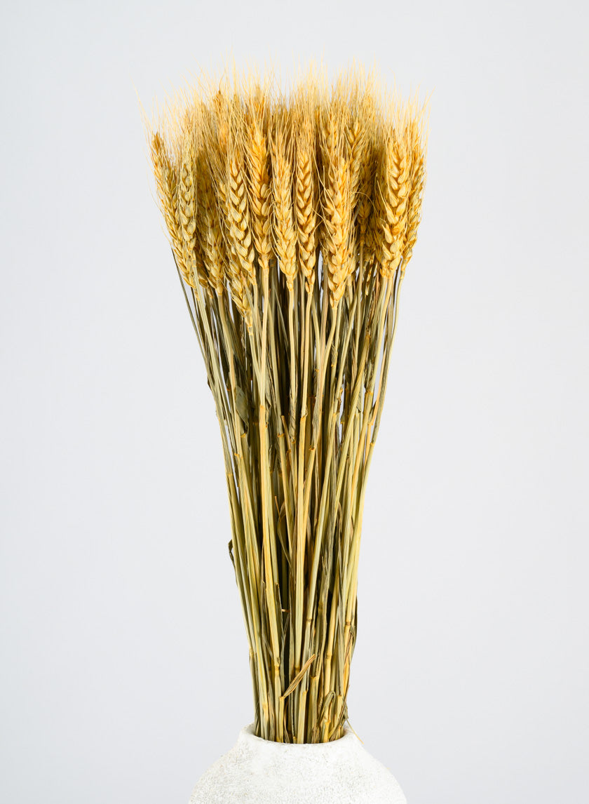 24in Long Natural Dried Wheat Bunch Decor Jamaligarden