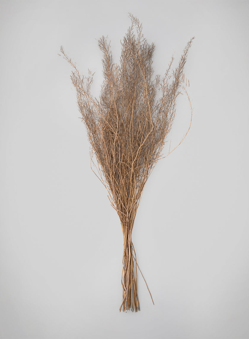 30in Long Natural Fixweed Bunch Decor Jamaligarden