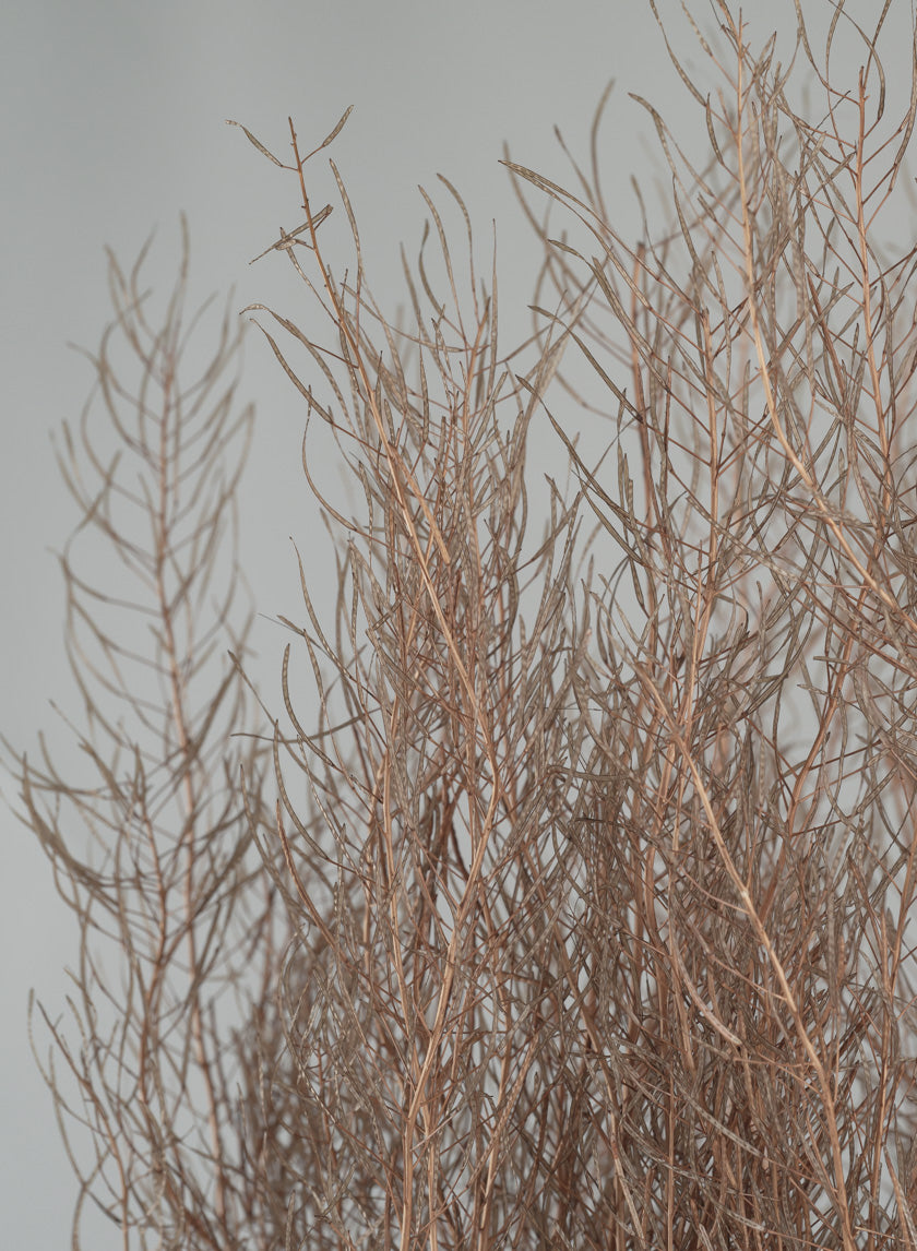 30in Long Natural Fixweed Bunch Decor Jamaligarden