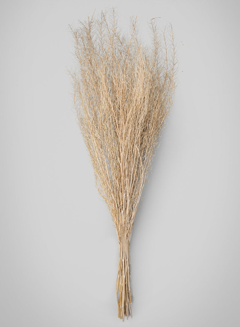 30in Long Bleached Flixweed Bunch Decor Jamaligarden