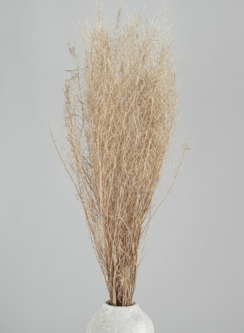 30in Long Bleached Flixweed Bunch Decor Jamaligarden