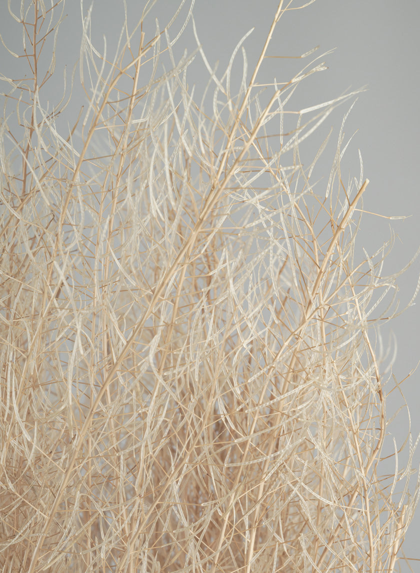30in Long Bleached Flixweed Bunch Decor Jamaligarden
