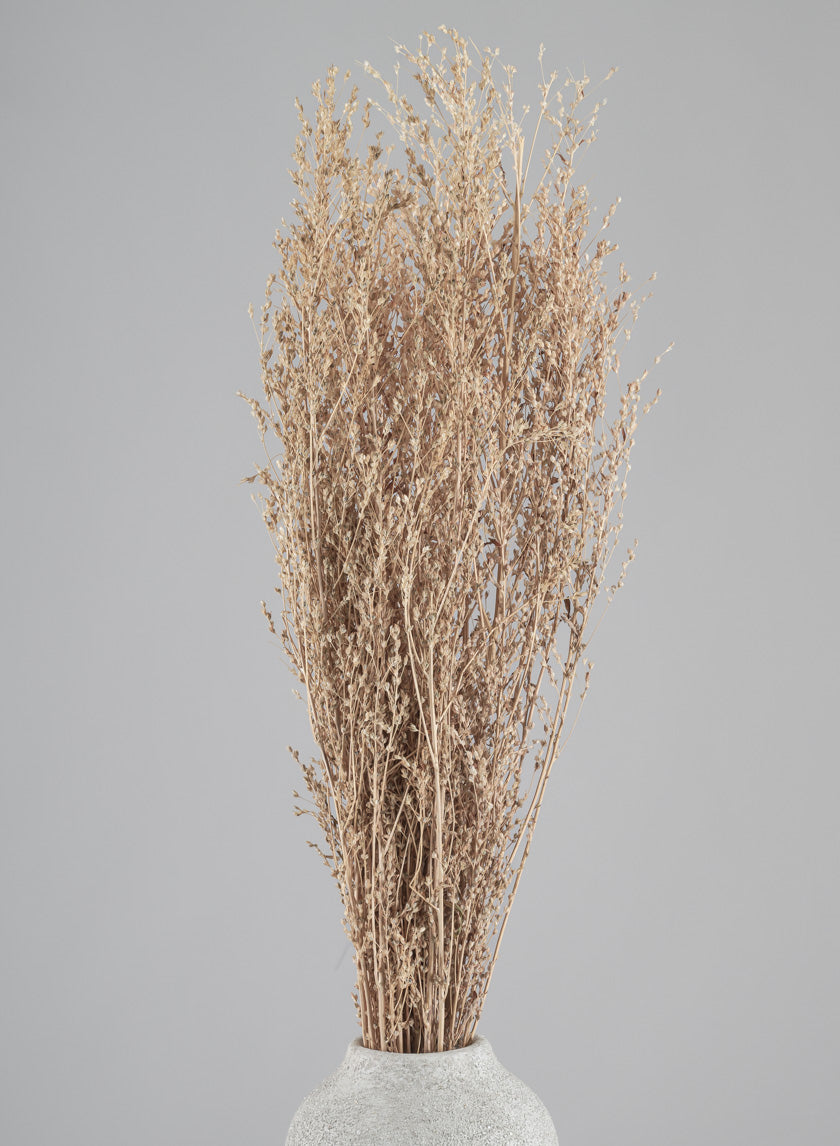 26in Long Natural Dried Linum Grass Bunch Decor Jamaligarden