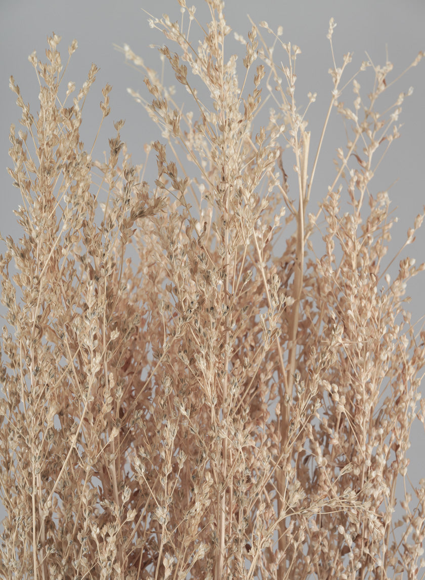 26in Long Natural Dried Linum Grass Bunch Decor Jamaligarden