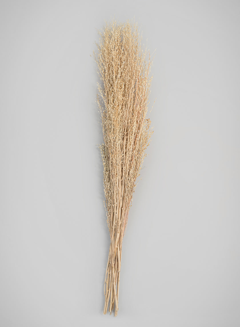26in Long Natural Dried Linum Grass Bunch Decor Jamaligarden