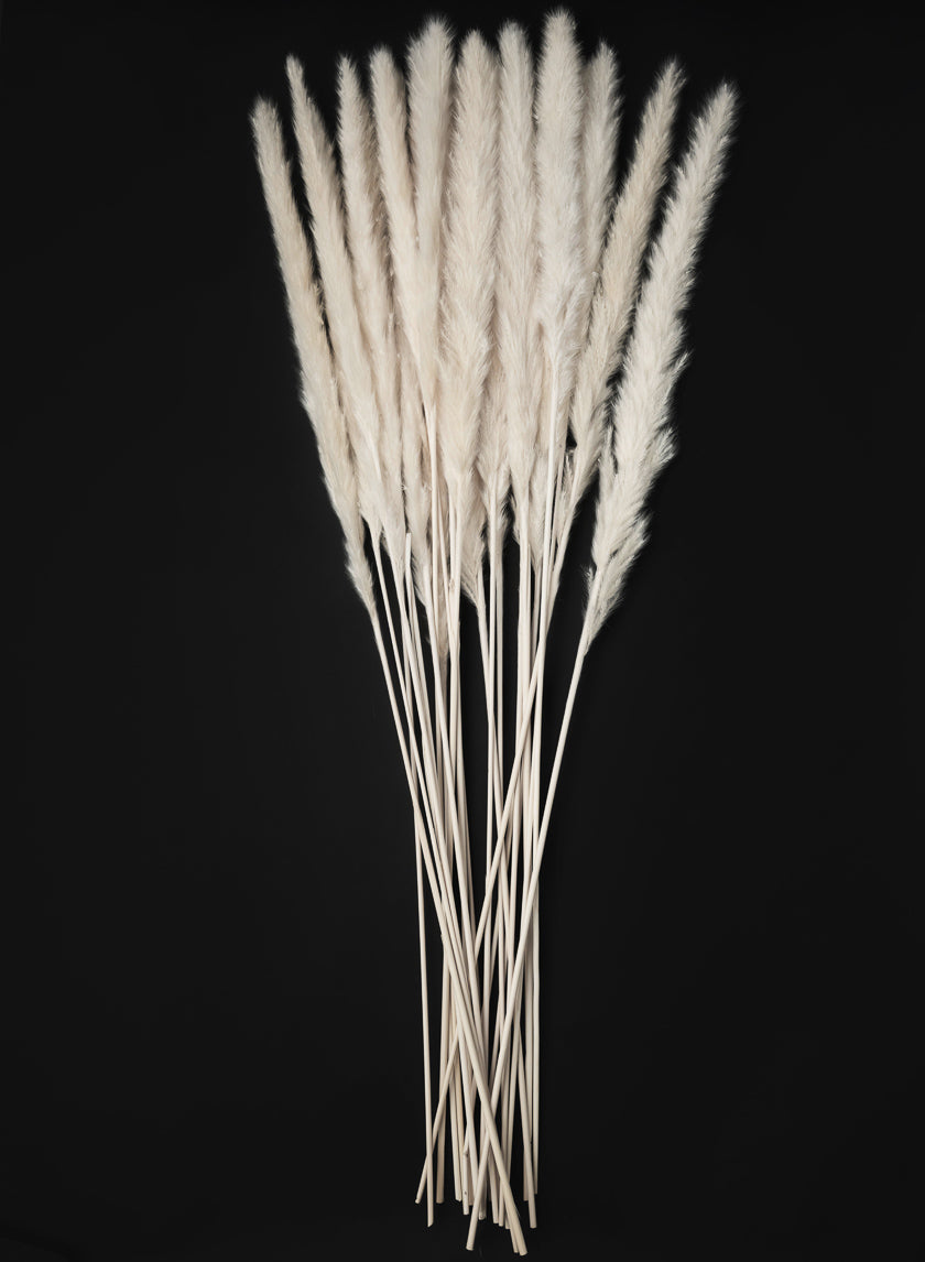 28in Long Bleached Pampas Grass Bunch Decor Jamaligarden