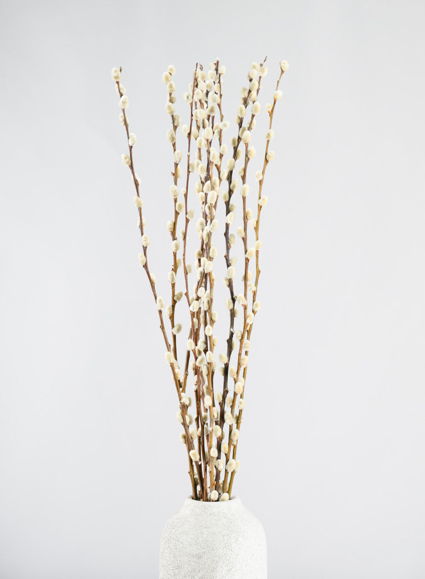 30in Long Dried Pussy Willow Bunch Decor Jamaligarden