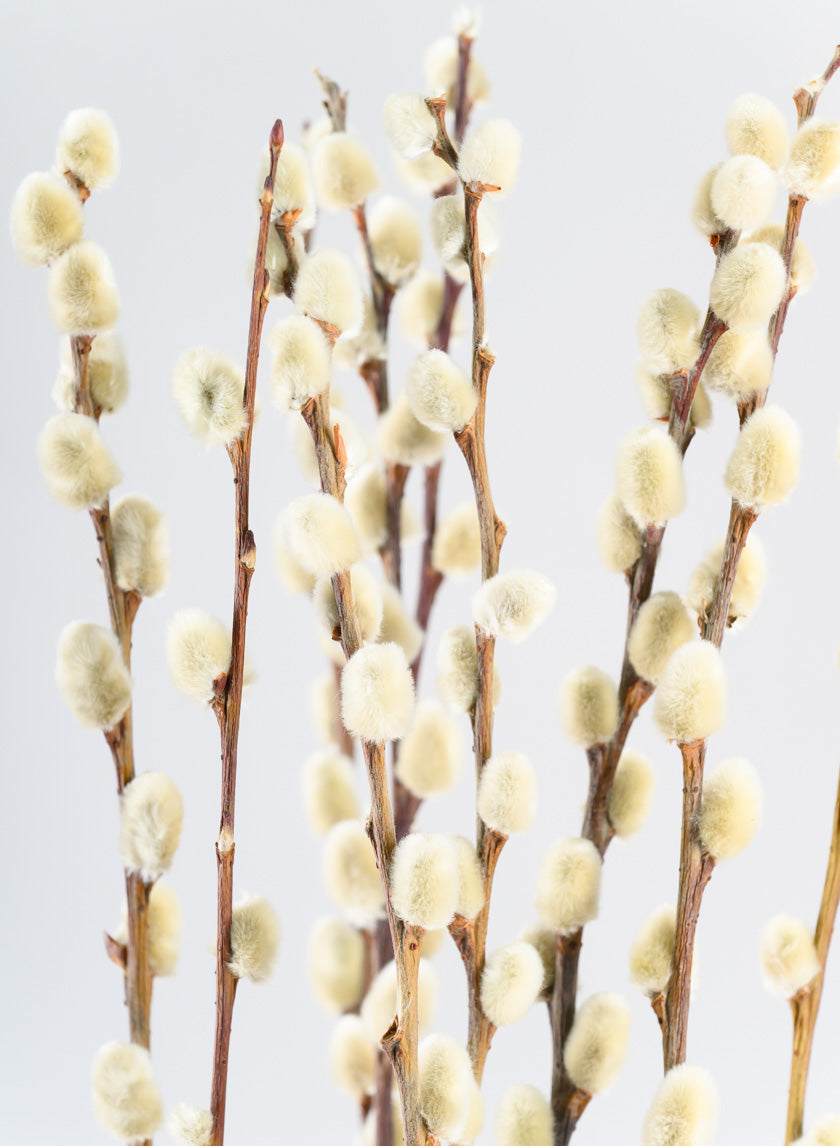 30in Long Dried Pussy Willow Bunch Decor Jamaligarden