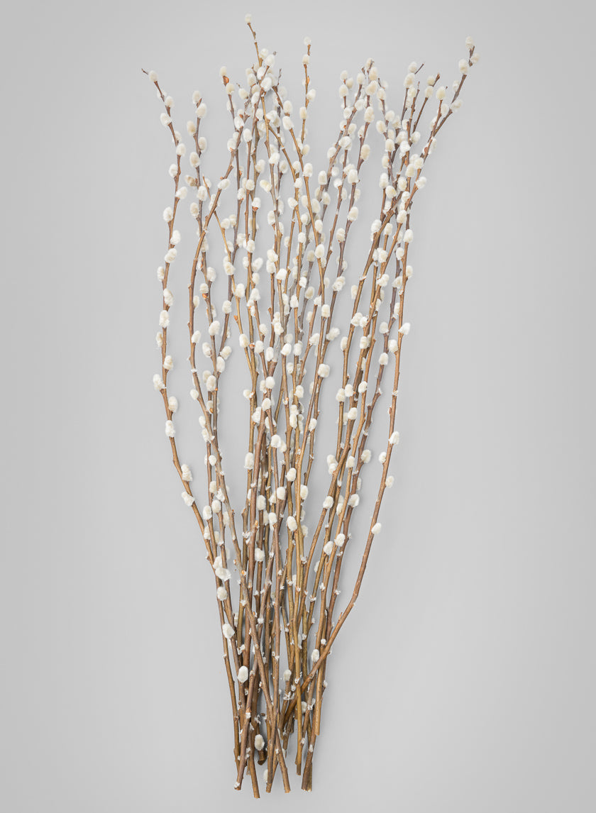 30in Long Dried Pussy Willow Bunch Decor Jamaligarden