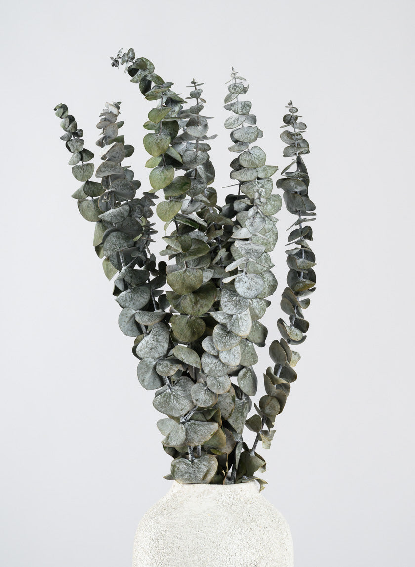 20in Long Silvery-Green Dried Eucalyptus Bunch Decor Jamaligarden