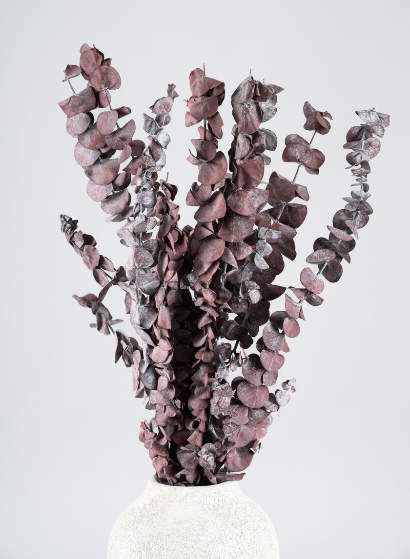 20in Long Burgundy Dried Eucalyptus Bunch Decor Jamaligarden