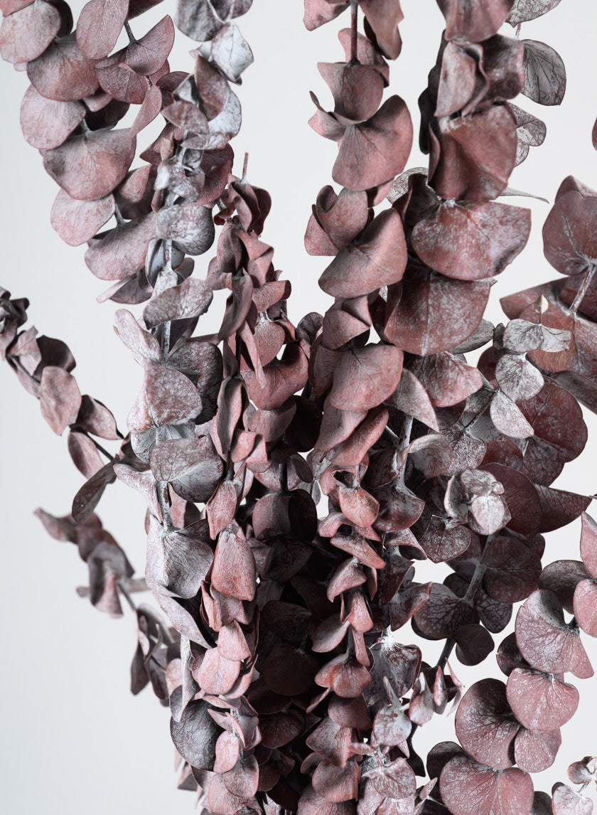 20in Long Burgundy Dried Eucalyptus Bunch Decor Jamaligarden