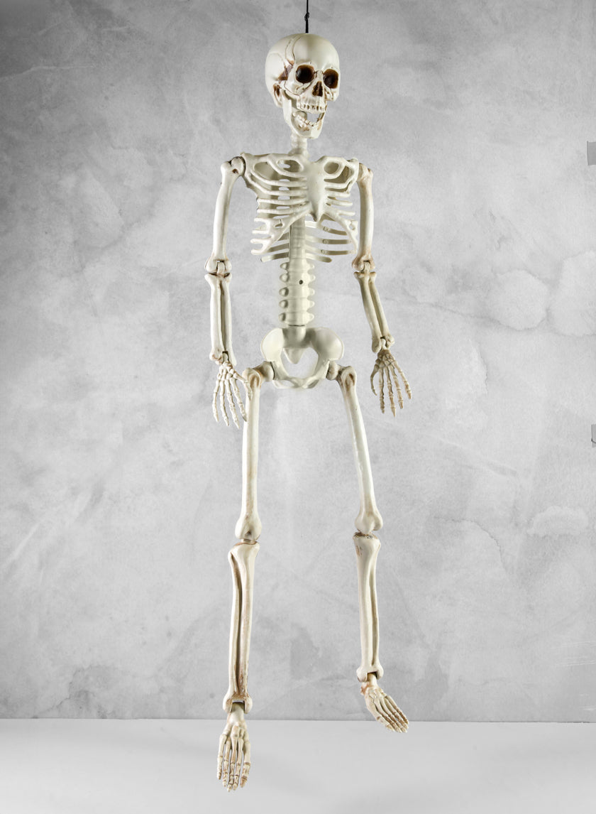20in Uncle Alfred Adjustable Full Skull Decor Jamaligarden