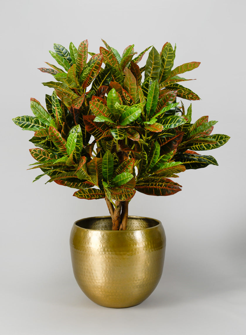 Madurai Brass Look Aluminum Indoor Garden Pot Decor Jamaligarden