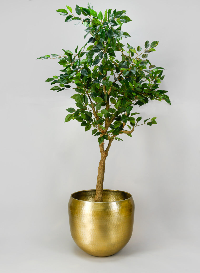 Madurai Brass Look Aluminum Indoor Garden Pot Decor Jamaligarden