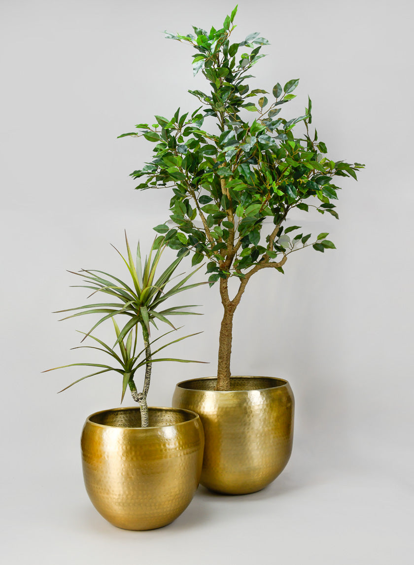 Madurai Brass Look Aluminum Indoor Garden Pot Decor Jamaligarden