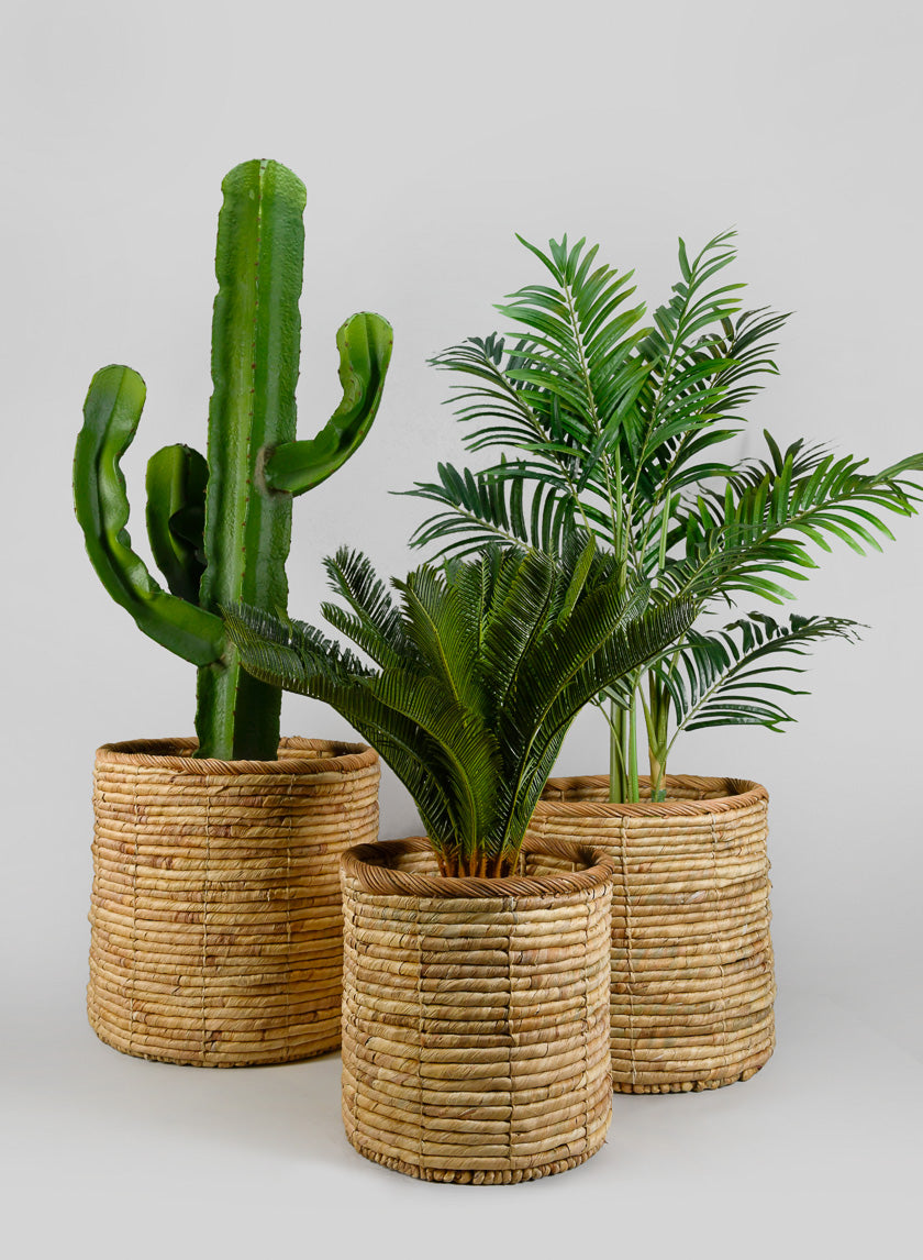 Da Nang Water Hyacinth Basket Pot Decor Jamaligarden