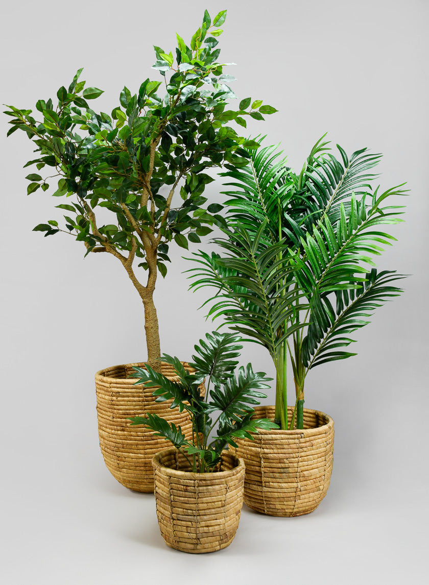 Haiphong Water Hyacinth Cachepot Decor Jamaligarden