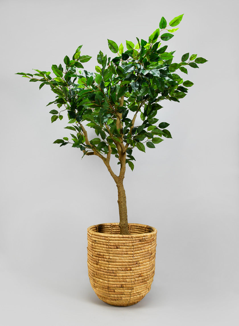 Haiphong Water Hyacinth Cachepot Decor Jamaligarden