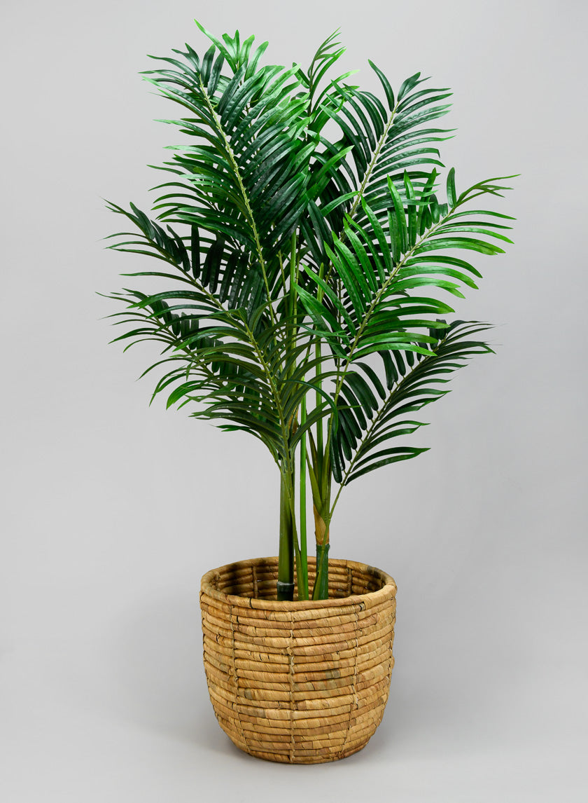 Haiphong Water Hyacinth Cachepot Decor Jamaligarden