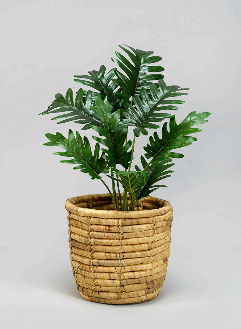 7.25in Tall Haiphong Water Hyacinth Cachepot, Small Decor Jamaligarden