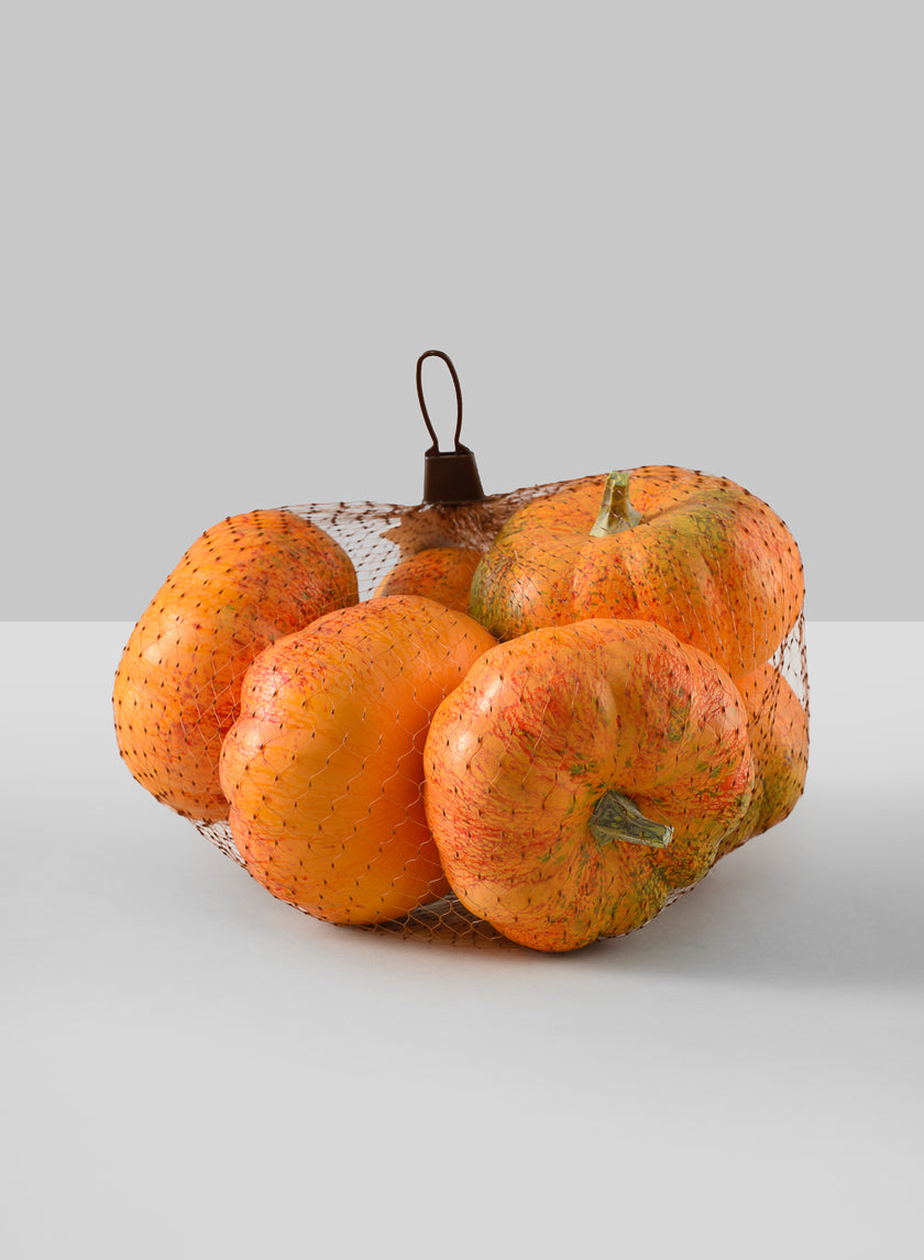 Fall Harvest Mini Pumpkins, Bag of 6 Decor Jamaligarden