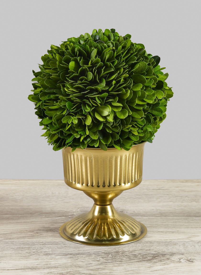 4in Tall Victoria Mini Urn Decor Jamaligarden