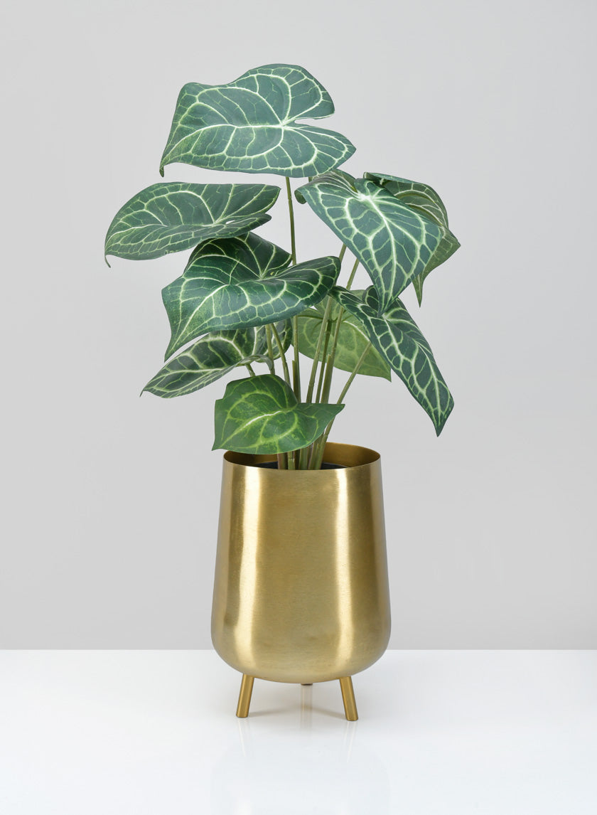 8in Tall Arash Gold Iron Mini Planter with Legs Decor Jamaligarden