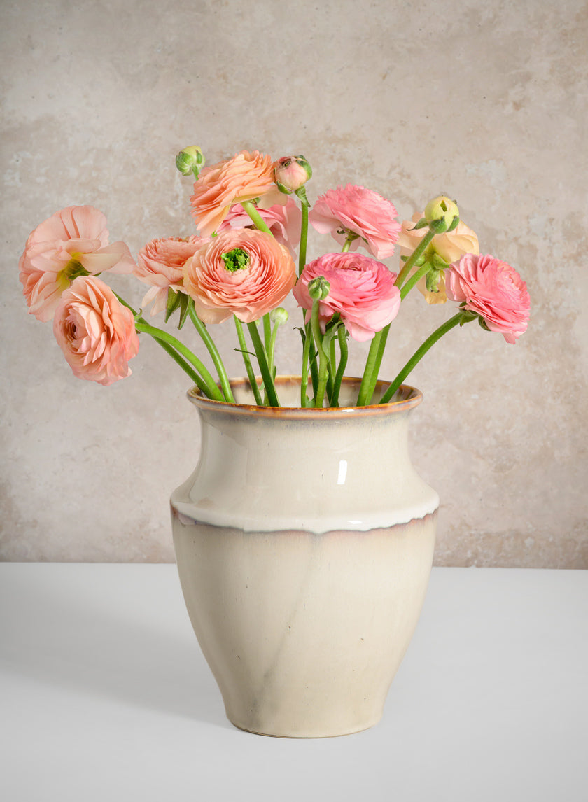 8in Tall Cream Evora Ceramic Vase Decor Jamaligarden