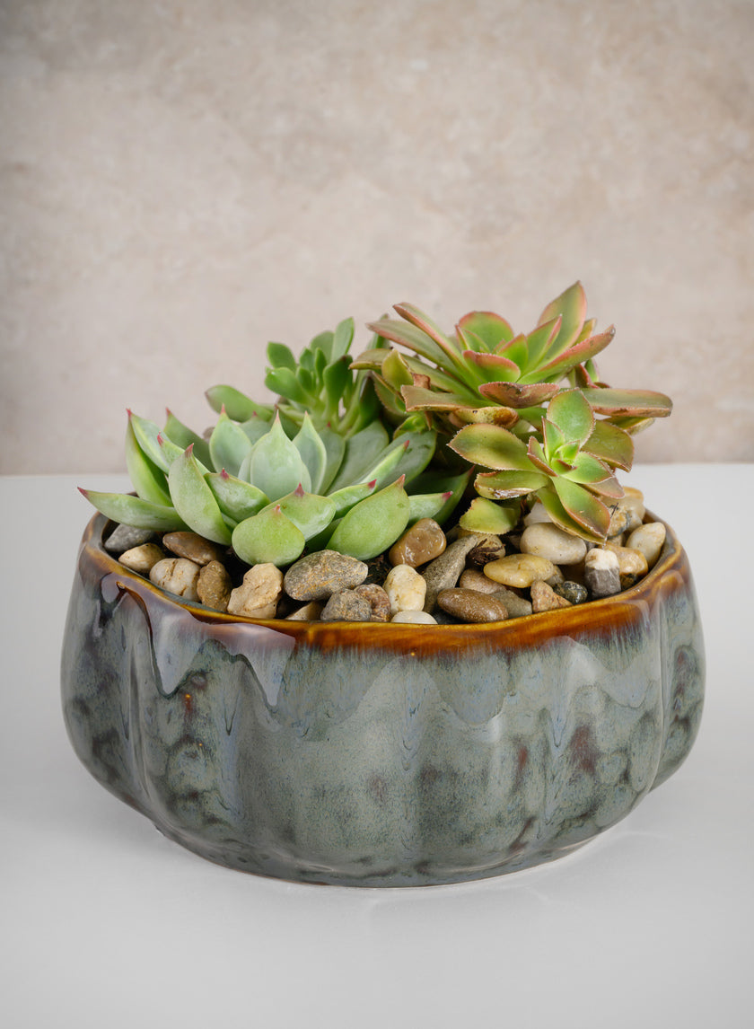 6.5in Wide Grey Glazed Leif Ceramic Bowl Decor Jamaligarden