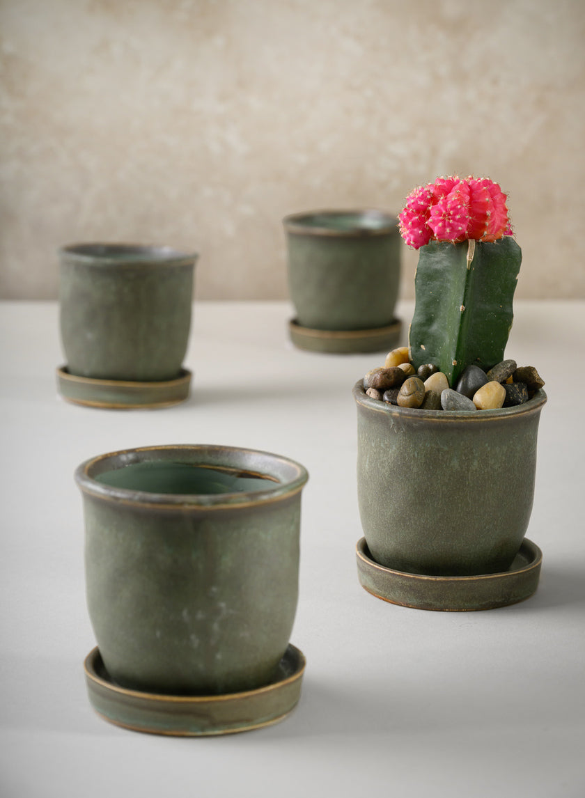 3in Tall Azra Aged Green Ceramic Pot with Saucer, Set of 4 Decor Jamaligarden
