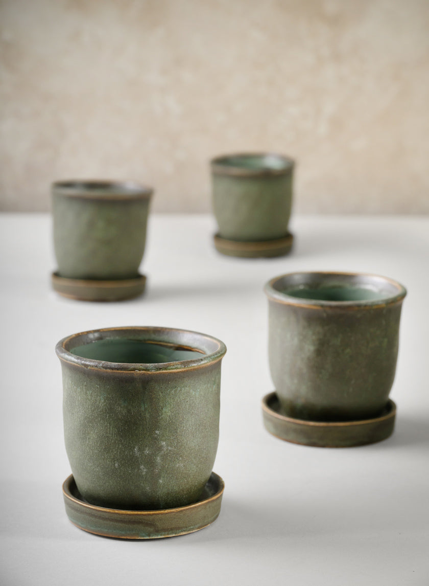 3in Tall Azra Aged Green Ceramic Pot with Saucer, Set of 4 Decor Jamaligarden