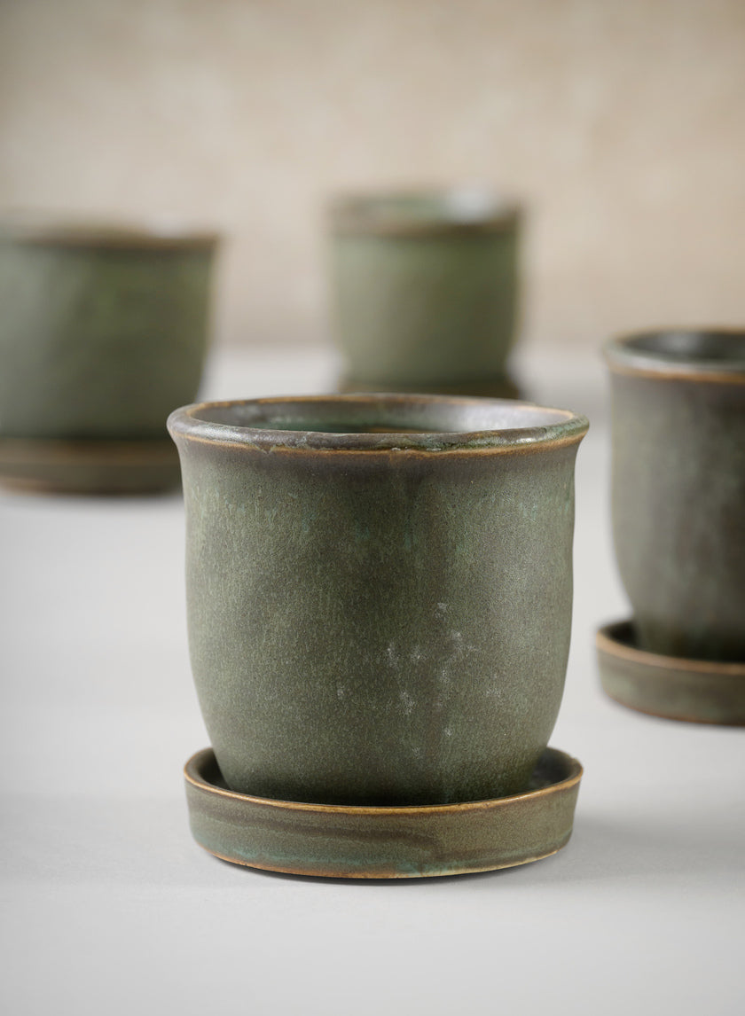 3in Tall Azra Aged Green Ceramic Pot with Saucer, Set of 4 Decor Jamaligarden